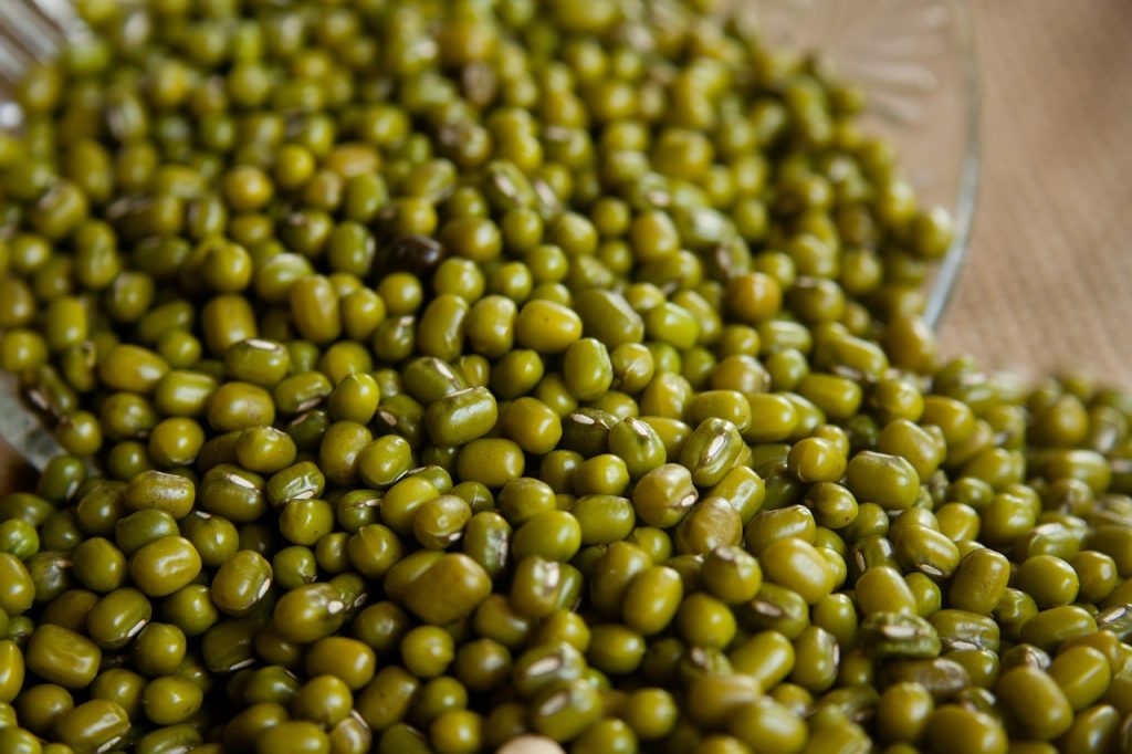 mung beans, moong beans, green gram-390017.jpg