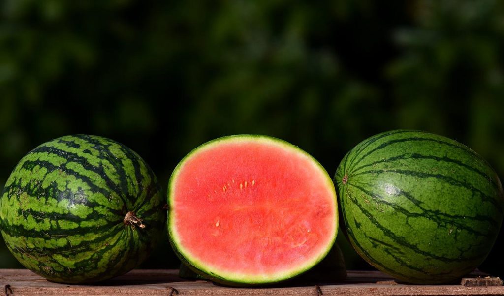 melon, ziermelone, watermelon-2691415.jpg
